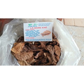 100g lá bàng khô rụng tự nhiên