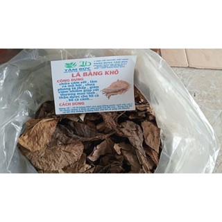 100g lá bàng khô rụng tự nhiên