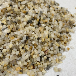 Sỏi suối tự nhiên ( chọn size )