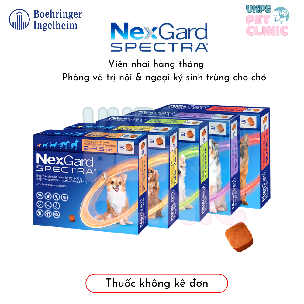 Nexgard Spectra - Phòng Và Trị Nội Và Ngoại Ký Sinh Trùng Cho Chó