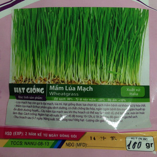 [Rau củ quả] - Gói 100g Hạt giống mầm lúa mì (lúa mạch)