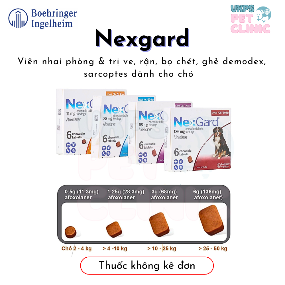 Nexgard - Viên Nhai Phòng Và Trị Ve, Rận, Bọ Chét, Ghẻ Demodex Dành Cho Chó (1 Viên)