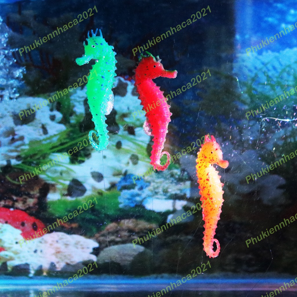 ĐỒ CHƠI CÁ NGỰA SILICON TRANG TRÍ BỂ CÁ NƯỚC MẶN