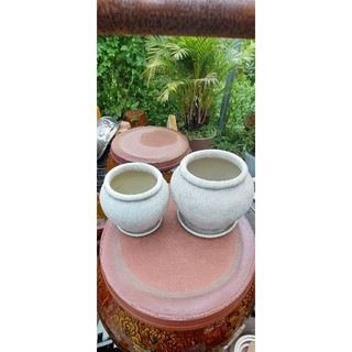 Chậu đất nung - chậu chum mẫu mới