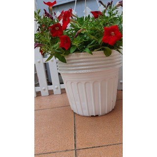Combo 20 chậu nhựa mềm miệng 28cm