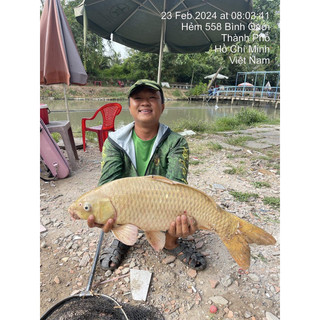 Bộ Tinh mùi Thất Thạch Ngư Laoma