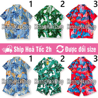 Bộ Đi Biển , Có Bán Lẻ Áo Lẻ Quần - Lá Môn Lá Chuối Hoa Đỏ - Đồng Phục Nhóm Lớp Team Building