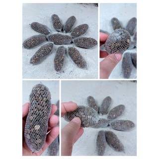 Phân dê cho trồng lan đựng túi lưới 10cm - 1 bịch có 20 gói