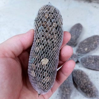Phân dê cho trồng lan đựng túi lưới 10cm - 1 bịch có 20 gói