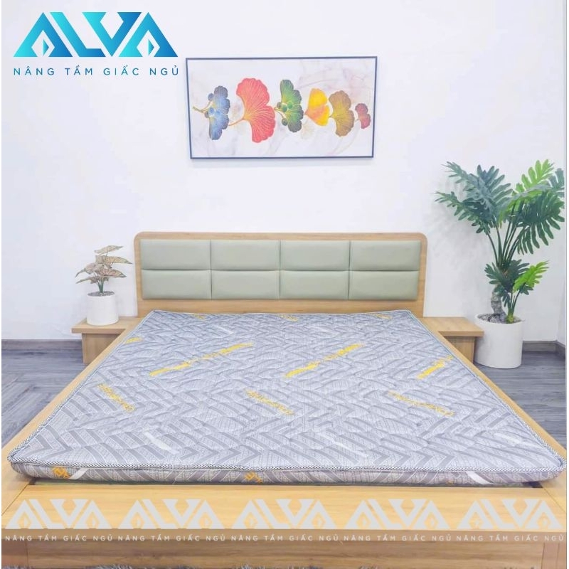 [FREE SHIP] TOPPER cao su ép tổng hợp Alva dòng gấp làm 3 Venza, dày 5cm, gọn nhẹ, tiện lợi, áo nệm 