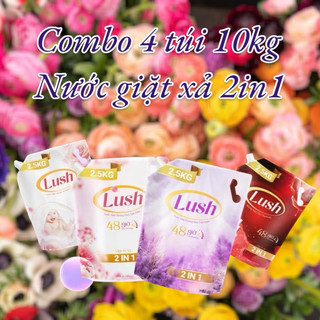 Combo 4 túi nước giặt xả 2in1, túi 2.5kg ( 4 túi 10kg ) đậm đặc, lưu hương 48h, hương nước hoa