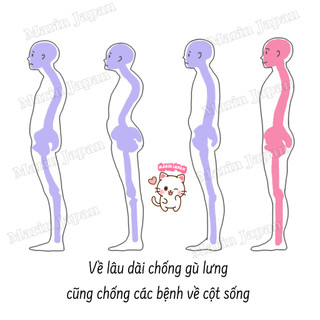 [CHUẨN NỘI ĐỊA NHẬT] ĐAI CHỐNG GÙ LƯNG SHOULDER NHẬT BẢN