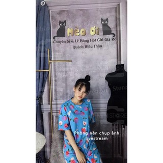 PHÔNG NỀN/ BACKGROUND LIVE STREAM (5086)