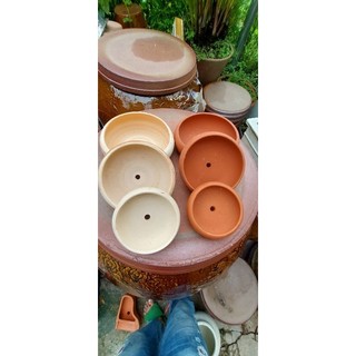  Chậu đất nung - chậu bonsai nhiều sz 