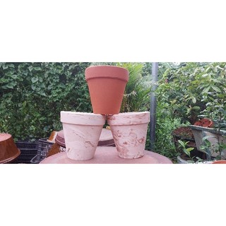  Chậu đất nung - chậu ly gờ 15x15 16x16 18x18 19x19 21x21 