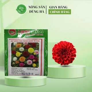 Hạt Giống Hoa Thược Dược Tỷ Lệ Nảy Mầm Cao