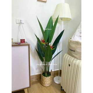 Cây Giả - Cây Thiên điểu giả cao 1m2