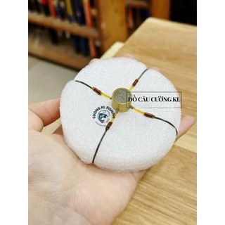 Lưỡi lục/tứ chì đồng câu cá