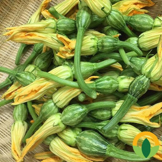 Hạt Giống Bí Siêu Nụ