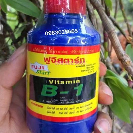 PHÂN BÓN LÁ VITAMIN B1 THÁI LAN