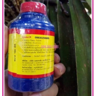 PHÂN BÓN LÁ VITAMIN B1 THÁI LAN