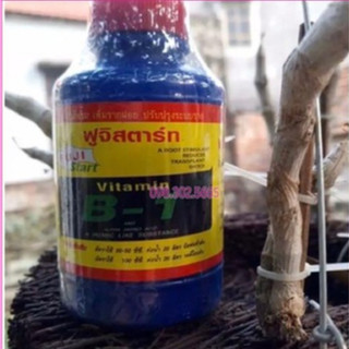 PHÂN BÓN LÁ VITAMIN B1 THÁI LAN