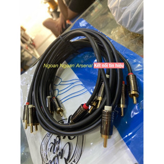 Dây audio AV 2 hãng AUXUS nhập khẩu.