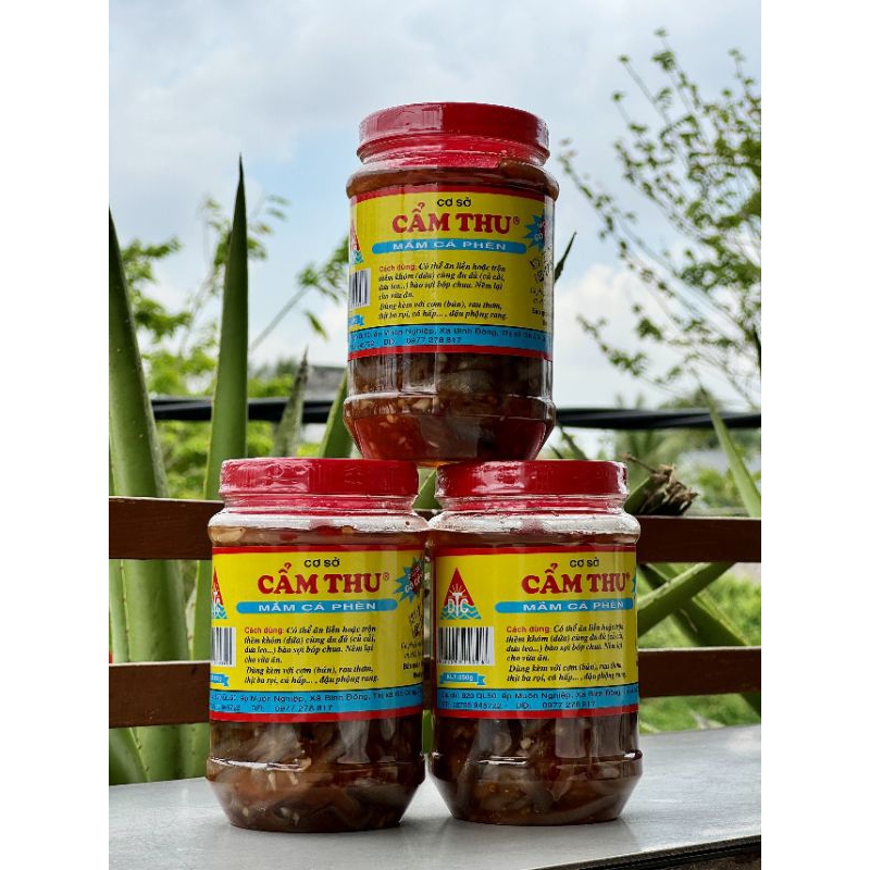 MẮM CÁ PHÈN CẨM THU (HỦ 500GR)