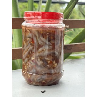 MẮM CÁ PHÈN CẨM THU (HỦ 500GR)