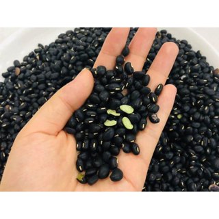 Đậu Đen Xanh Lòng Hữu Cơ SallyFood 1kg Đỗ Đen Xanh Lòng Sạch Không Chất Bảo Quản Giống Thuần Chủng - Shop Nông Sản Quê