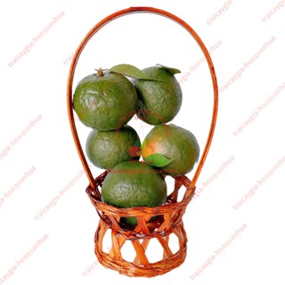 Trái cây giả, 5 trái cam sành xanh, trái cây mô hình, quả giả - trang trí nhà cửa