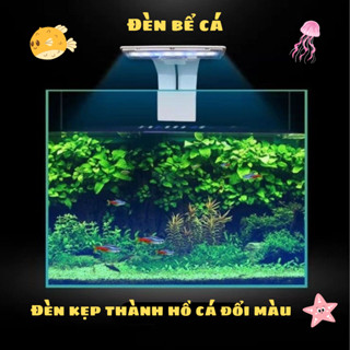 Đèn Led bể cá. đèn Led bể cá mini . Đèn đổi màu cho bể cá, đèn kẹp thành hồ cá