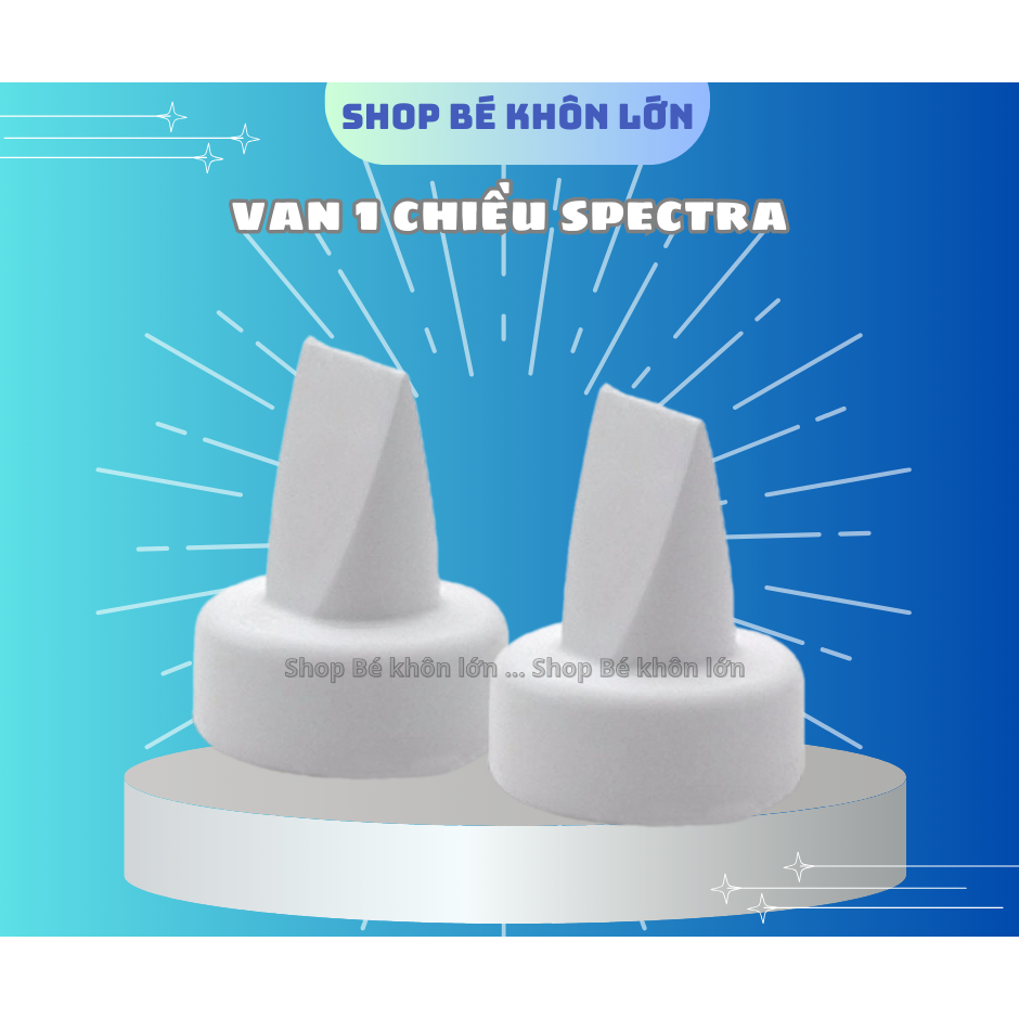 Van 1 chiều van lưỡi gà Spectra