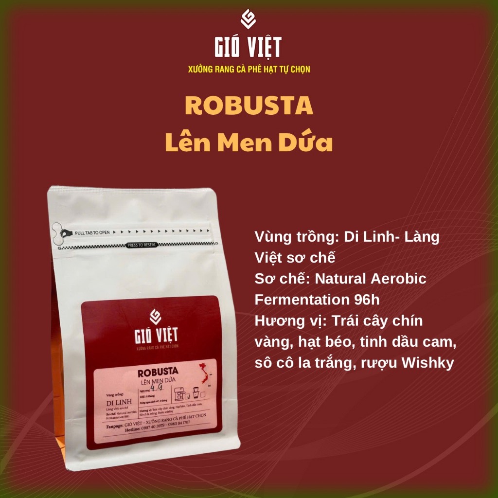 Robusta lên men Dứa - Vùng Di Linh- làng Việt Sơ Chế- Gói 250gr - Gió Việt Coffee Roaster