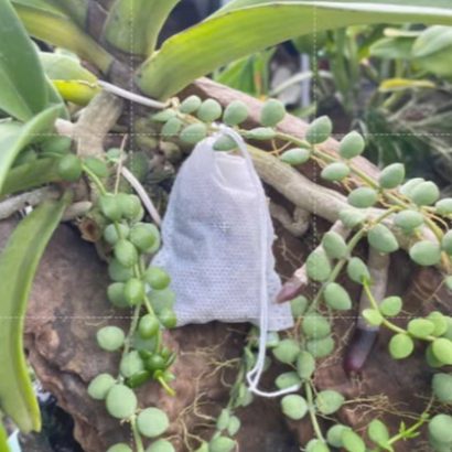 100 Túi lọc đựng phân tan chậm bón Lan Túi New- nhiều kích thước