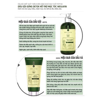 GỘI XẢ GỪNG DETOX HỖ TRỢ MỌC TÓC WEILAIYAA LUXURY