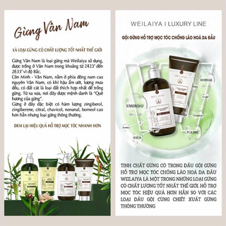 GỘI XẢ GỪNG DETOX HỖ TRỢ MỌC TÓC WEILAIYAA LUXURY
