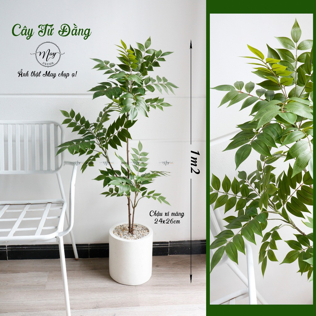 Cây giả, Cây Tử Đằng lá Xanh trang trí nhà cửa