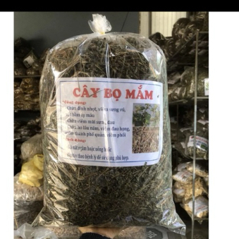 Cây dòi tím ( cây bọ mắm tím  khô) 1kg hàng chuẩn thơm sạch