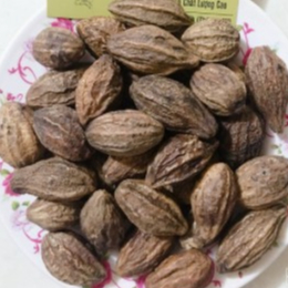 KHA TỬ KHÔ 100GR
