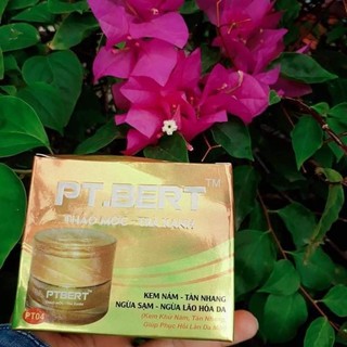 pt bert thảo mộc trà xanh, nám sạm