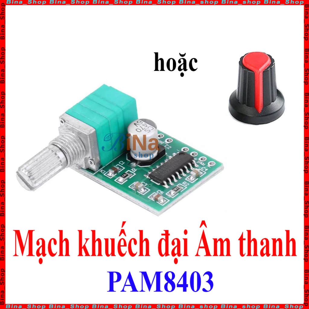 Mạch khuếch đại âm thanh PAM8403 6W (Núm nhựa mua riêng)