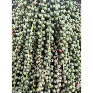 Đủng đỉnh phơi khô 1 ký