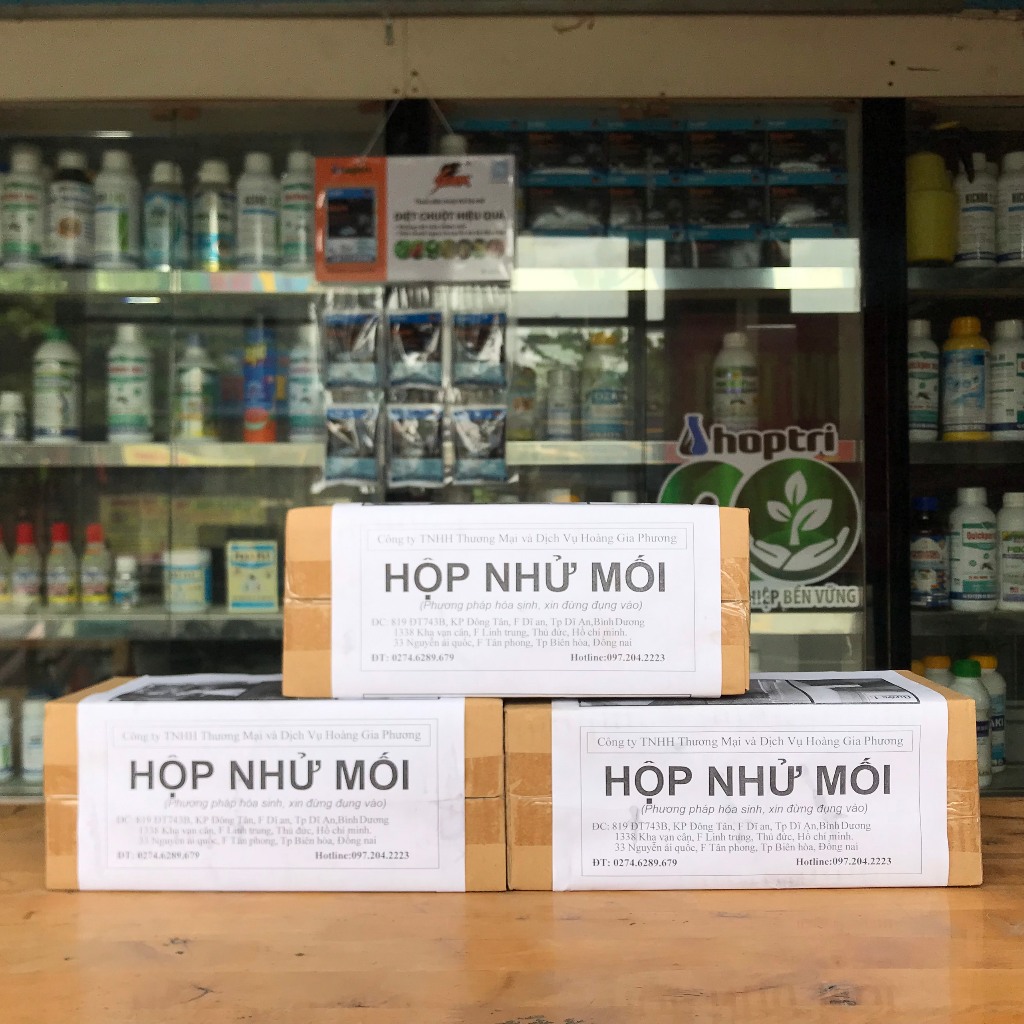 Hộp nhử mối