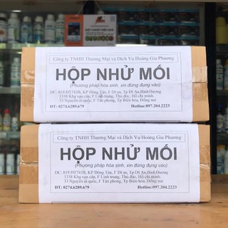Hộp nhử mối
