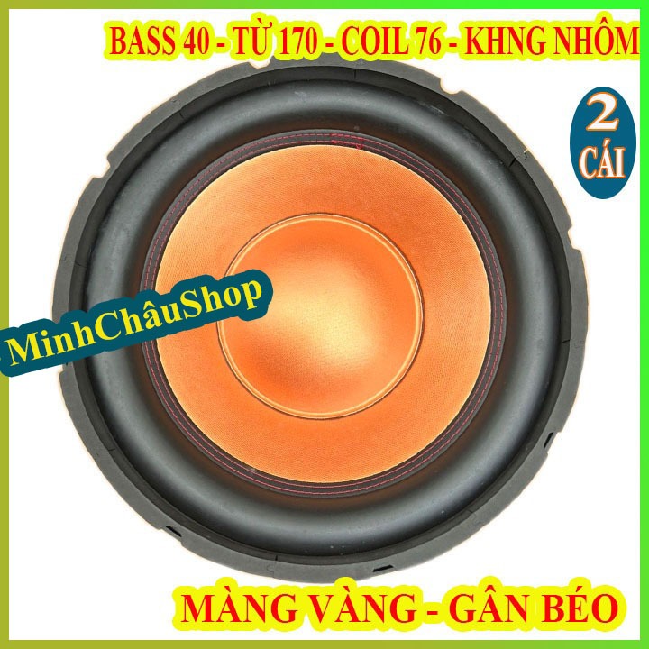 CẶP LOA BASS SUB 40 MARTIN TỪ 170 COIL 76 MÀNG CAM CAO CẤP - GIÁ 2 LOA