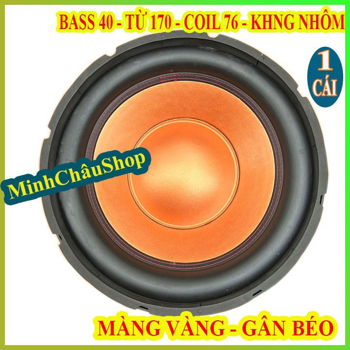 LOA BASS SUB 40 MARTIN TỪ 170 COIL 76 MÀNG CAM CAO CẤP - GIÁ 1 LOA