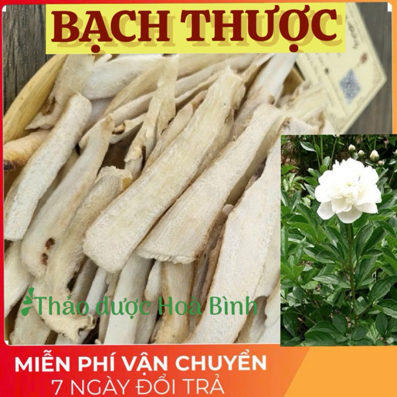 Bạch Thược, rễ thược dược trắng thái lát sấy khô, nguyên chất, không pha trộn