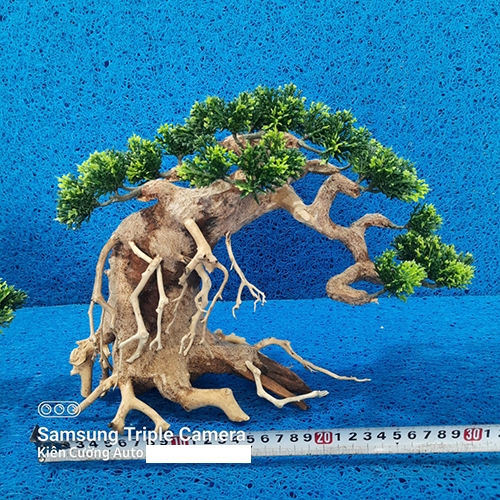Mô hình Cây gỗ lũa thủy sinh Có tán lá nhựa dùng cho bể cá cảnh, Gỗ lũa các SIZE