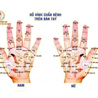 Dụng Cụ Diện Chẩn LĂN SỪNG ĐÔI